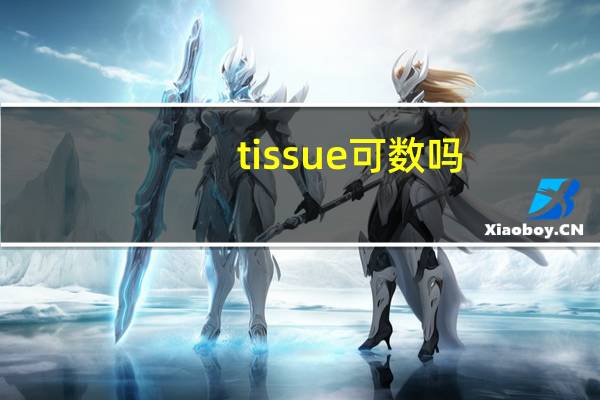 tissue可数吗