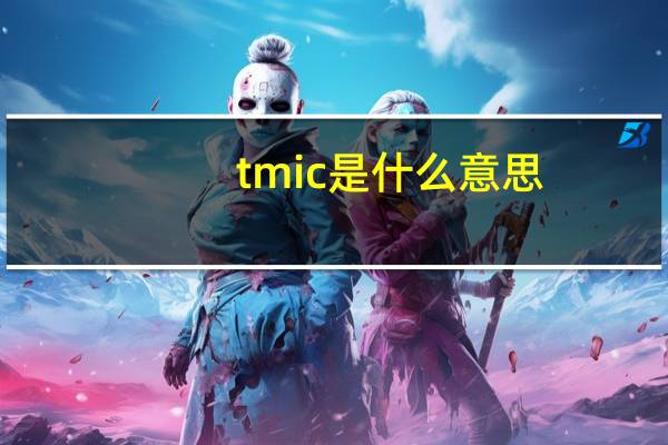 tmic是什么意思