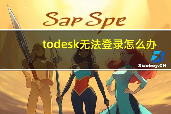 todesk无法登录怎么办