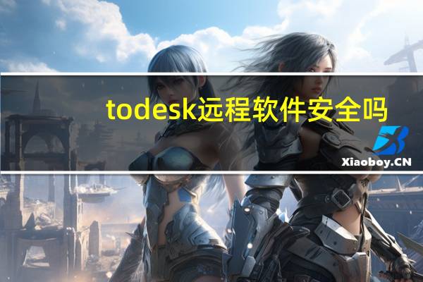 todesk远程软件安全吗