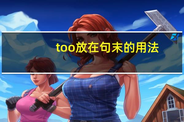 too放在句末的用法