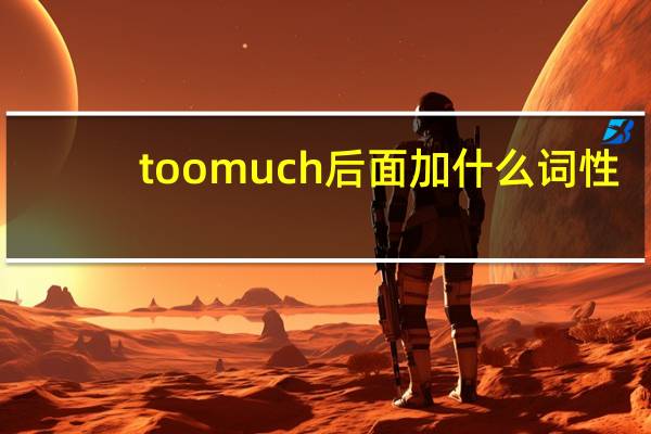 too much后面加什么词性
