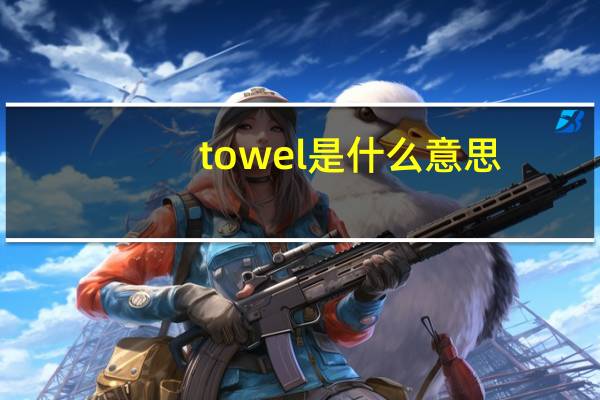 towel是什么意思
