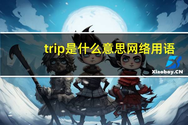 trip是什么意思网络用语（trip是什么意思）