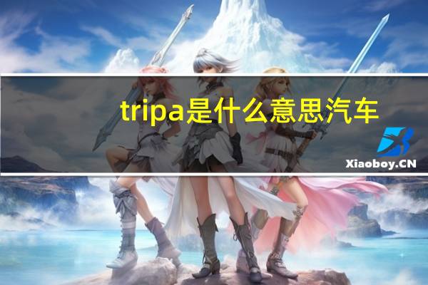 tripa是什么意思汽车