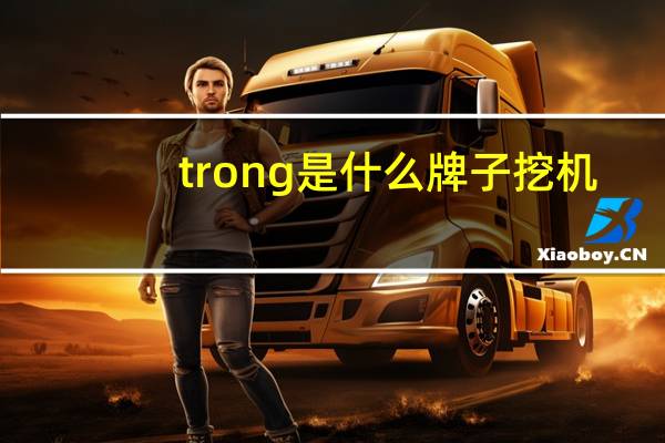 trong是什么牌子挖机