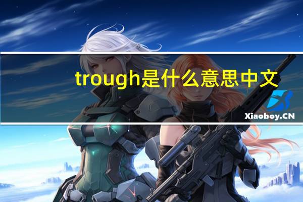 trough是什么意思中文（trough）
