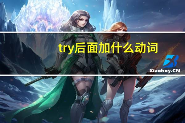 try后面加什么动词
