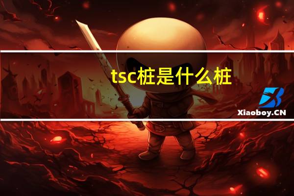 tsc桩是什么桩