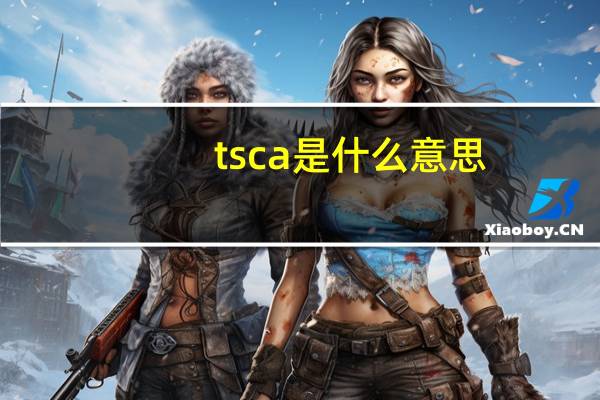 tsca是什么意思