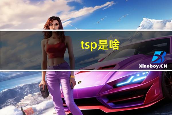 tsp是啥