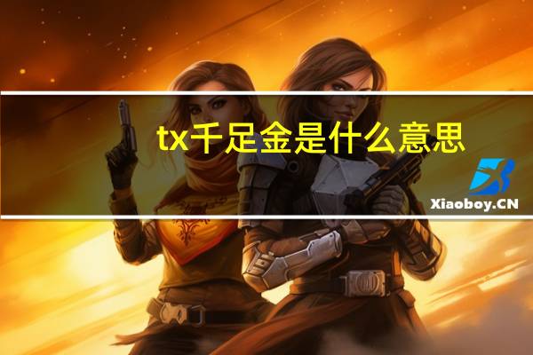 tx千足金是什么意思