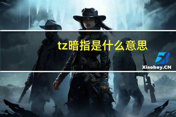 tz暗指是什么意思