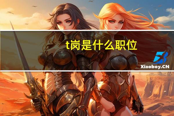 t岗是什么职位