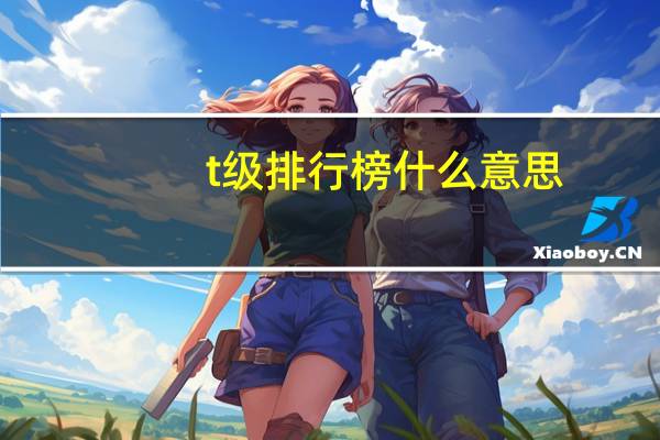 t级排行榜什么意思