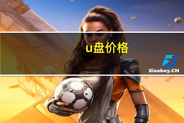 u盘价格（U盘一个一般是多少钱）