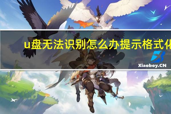 u盘无法识别怎么办提示格式化（u盘无法识别）