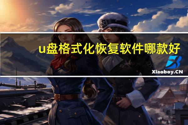 u盘格式化恢复软件哪款好（u盘格式化恢复）