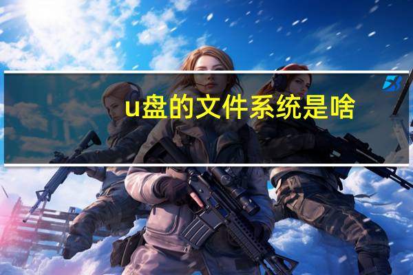 u盘的文件系统是啥