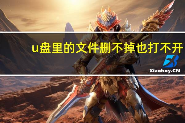 u盘里的文件删不掉也打不开（u盘里的文件删不掉）