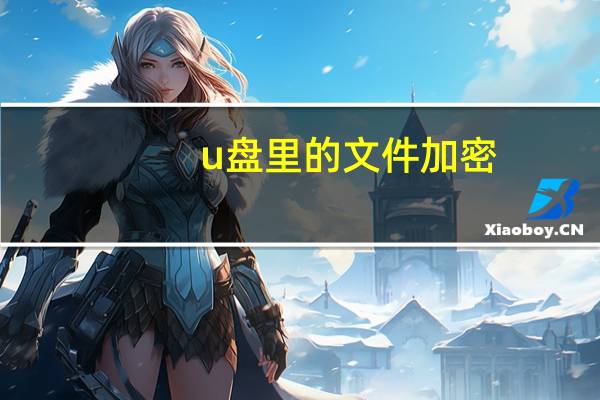 u盘里的文件加密(u盘里的文件怎么加密)