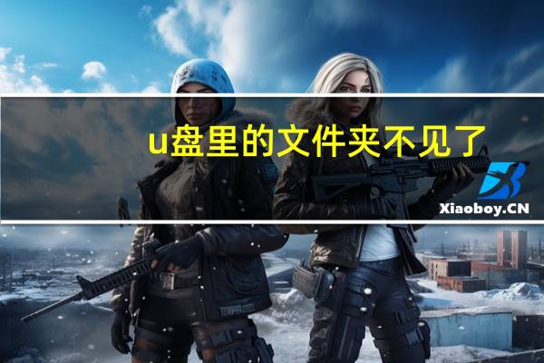 u盘里的文件夹不见了(u盘里的文件夹不见了)