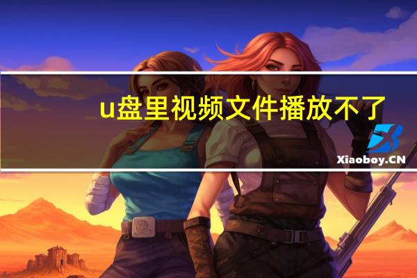 u盘里视频文件播放不了（u盘视频文件不能播放）