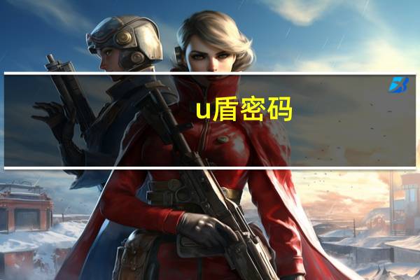 u盾密码（u盾密码）