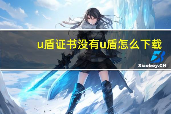 u盾证书没有u 盾怎么下载（u盾找不到证书）