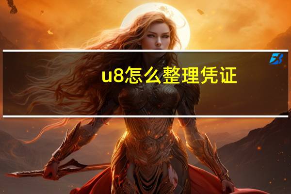 u8怎么整理凭证