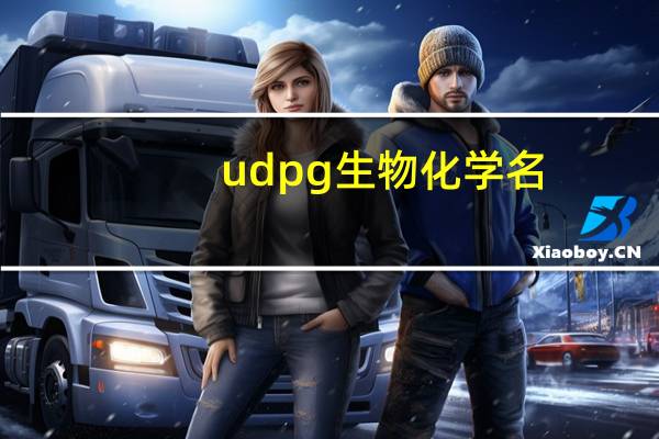 udpg生物化学名
