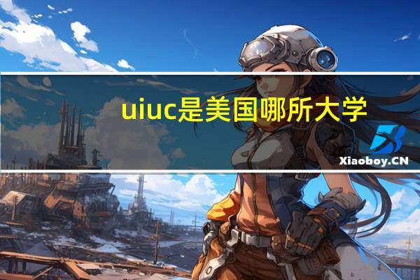 uiuc是美国哪所大学