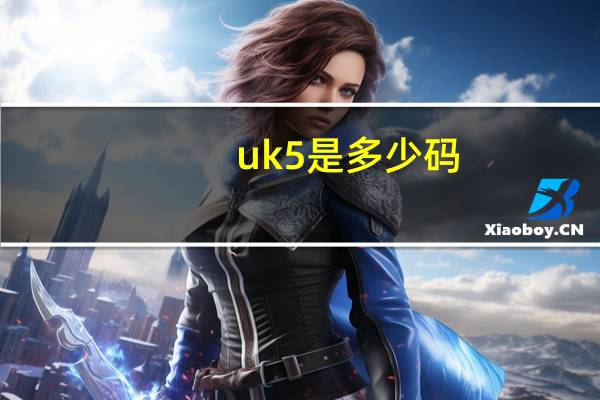 uk5是多少码