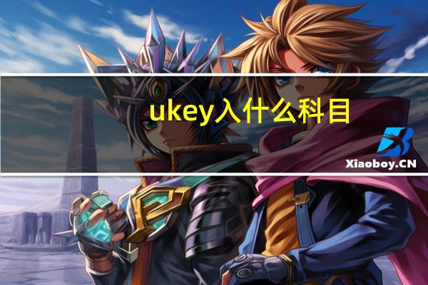 ukey入什么科目