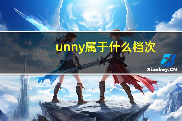 unny属于什么档次