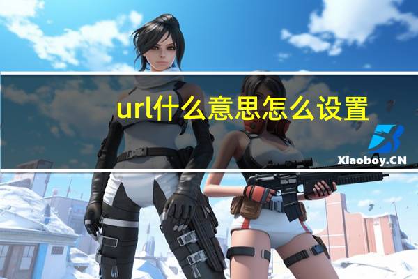 url什么意思怎么设置（url什么意思）