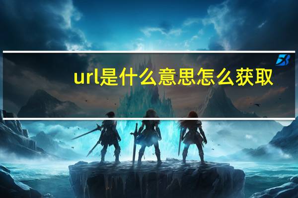 url是什么意思怎么获取（url是什么）
