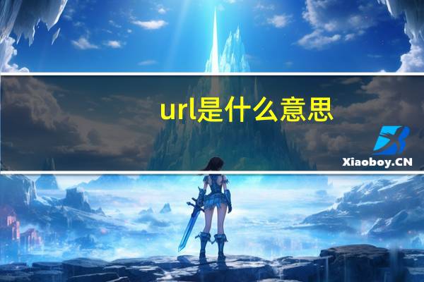 url是什么意思（url是什么）