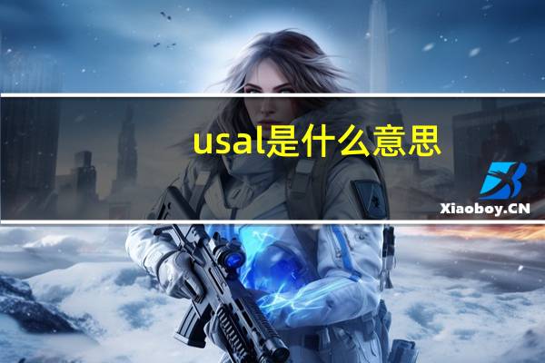 usal是什么意思