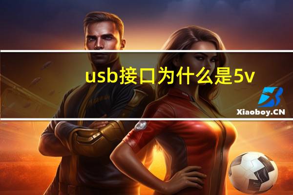 usb接口为什么是5v