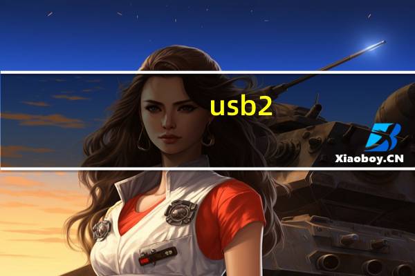 usb2。0摄像头