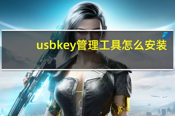 usbkey管理工具怎么安装（usbkey管理工具）