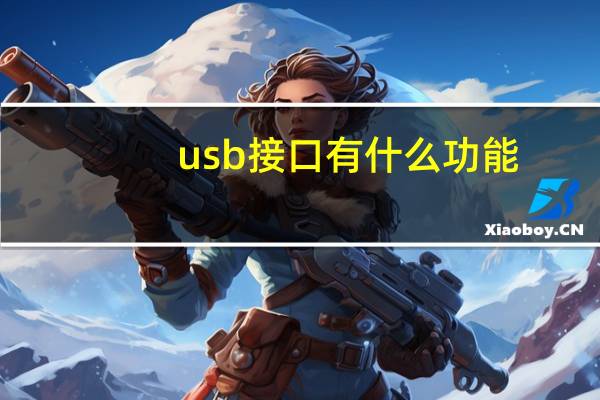 usb接口有什么功能