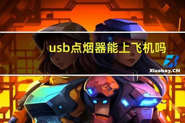 usb点烟器能上飞机吗