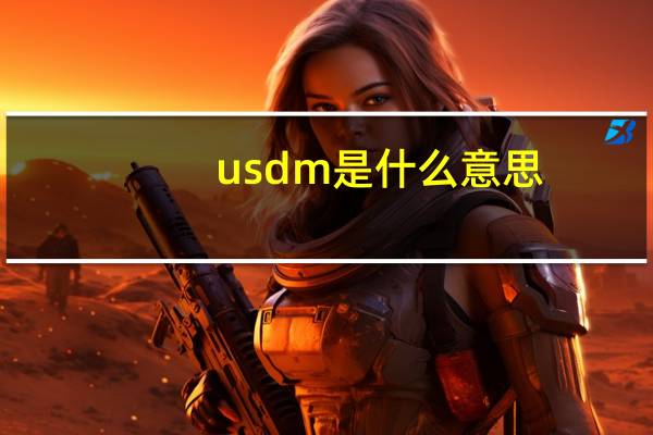 usdm是什么意思