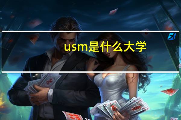 usm是什么大学