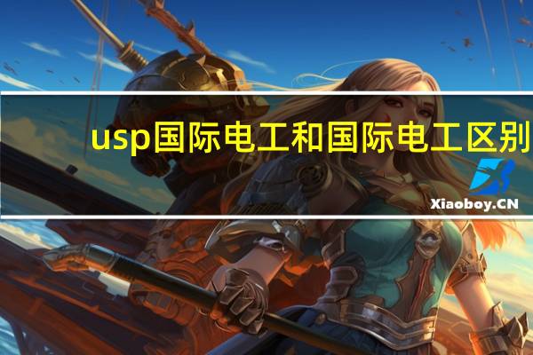 usp国际电工和国际电工区别