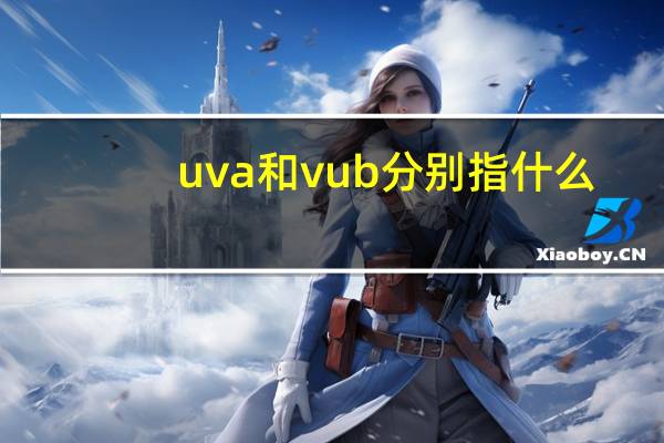 uva和vub分别指什么