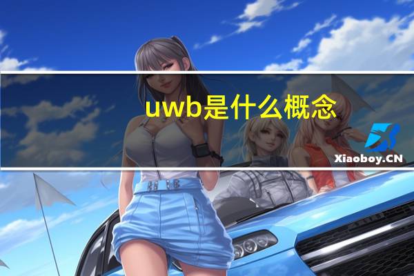 uwb是什么概念