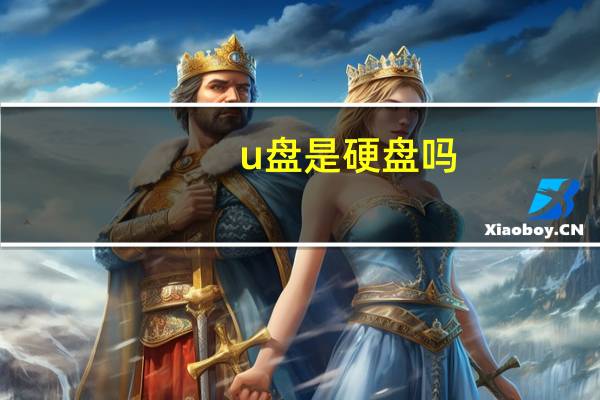 u盘是硬盘吗